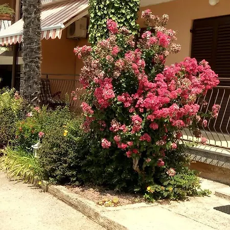 Lucija Apartmán *